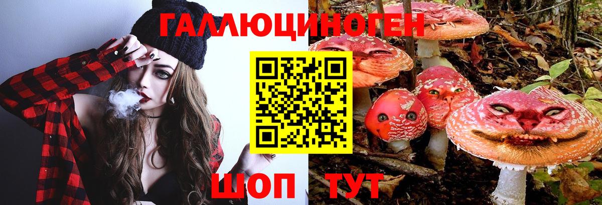 Псилоцибиновые грибы мицелий Изобильный